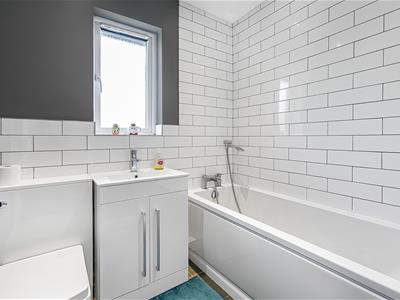 Picture 21